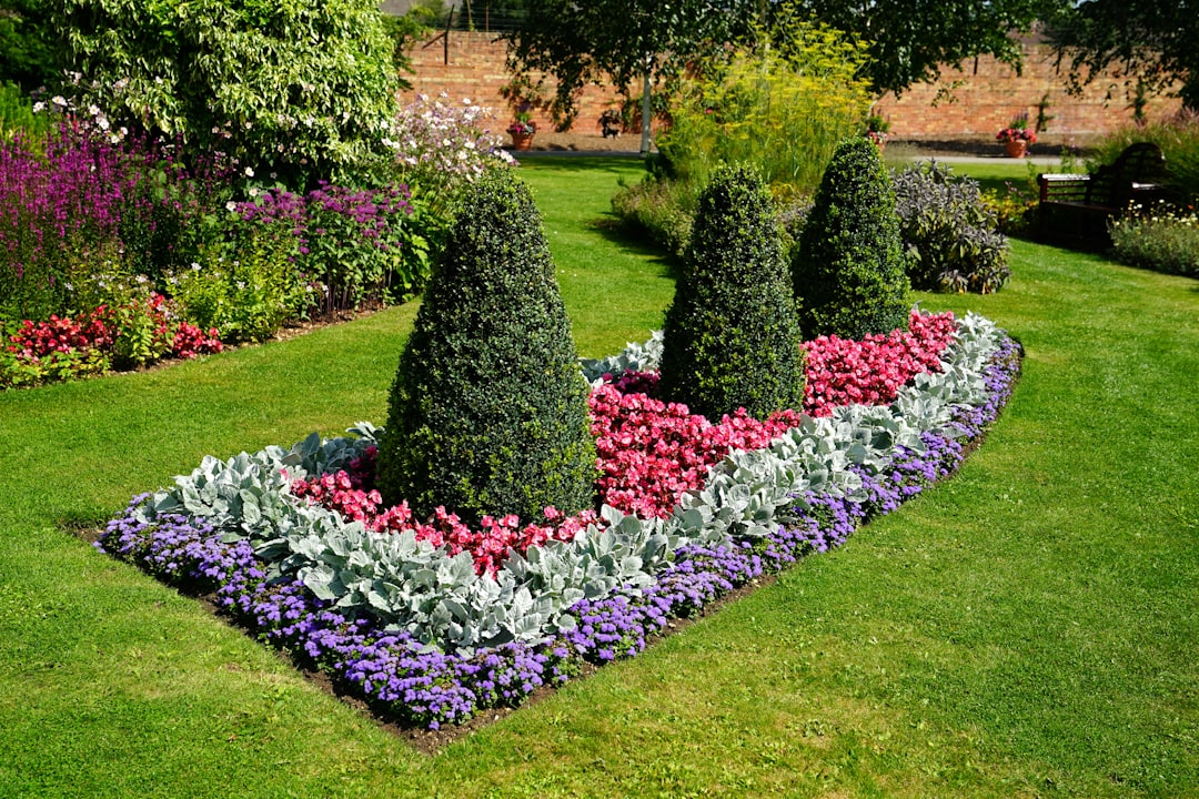 Kamusal Alan Projesi